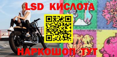 индика Пушкино