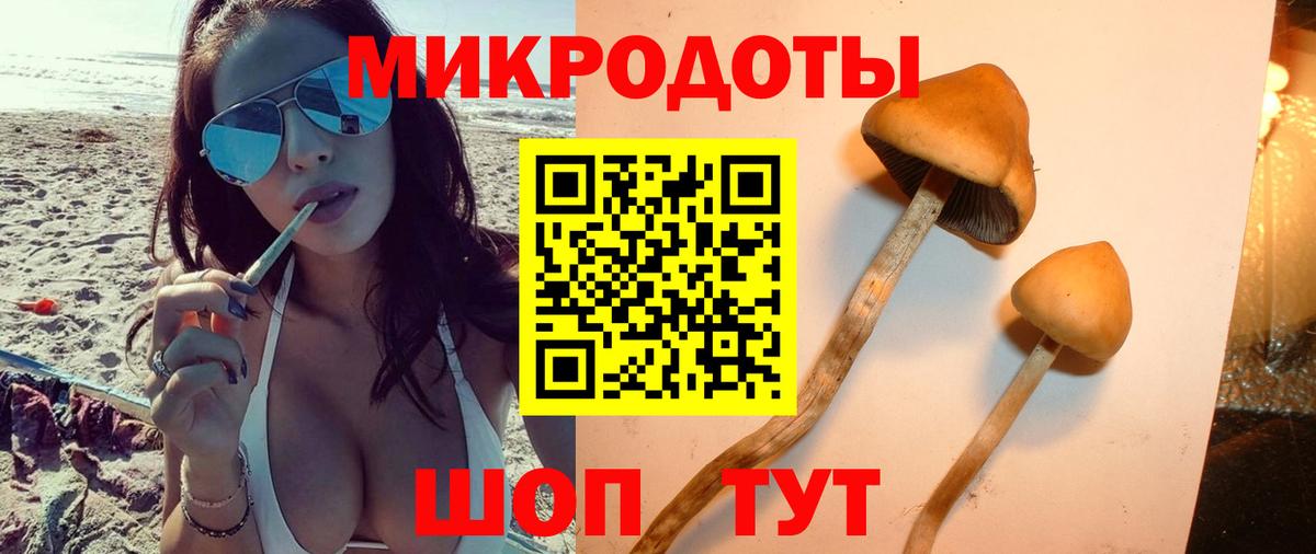 Галлюциногенные грибы Cubensis  Вход с VPN  Сорочинск 